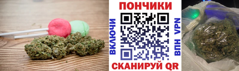 Canna-Cookies конопля  Купить  Ува 