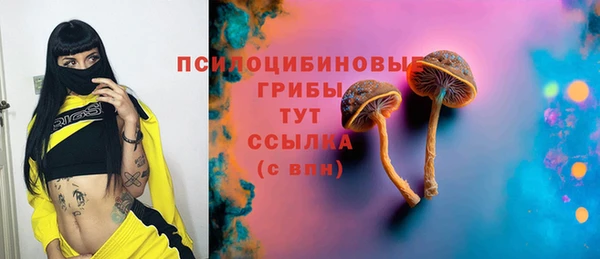 герыч Алексин