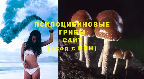 соль ск Арсеньев