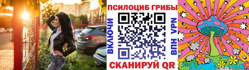 Купить  Ува  Галлюциногенные грибы Psilocybine cubensis 