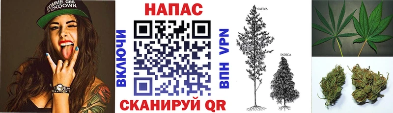 Марихуана план  Купить где  Ува 